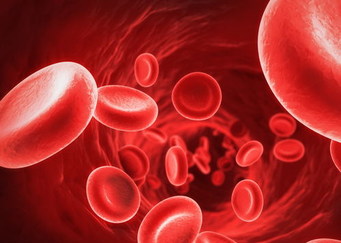 輸液時(shí)輸進(jìn)去的液體都去了哪兒了？