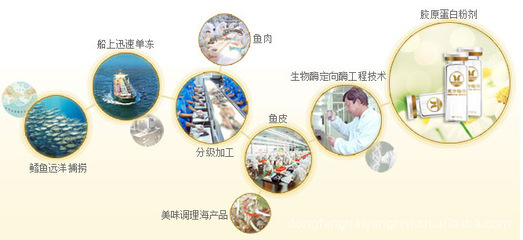 加盟東方海洋膠原蛋白，攜手趙雅芝演繹青春美麗神話