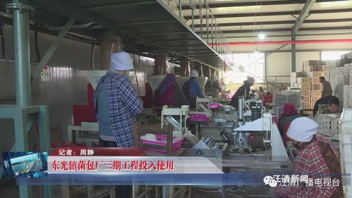 東光鎮(zhèn)菌包廠三期工程順利投產(chǎn)，技術(shù)服務(wù)賦能產(chǎn)業(yè)升級(jí)